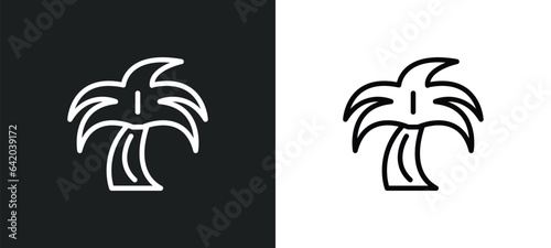 coconut tree standing icon isolated in white and black colors. coconut tree standing outline vector icon from nature collection for web, mobile apps and ui.