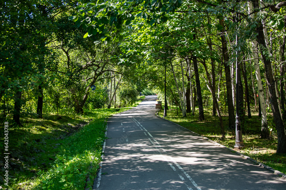 Obraz premium empty marble road in the park