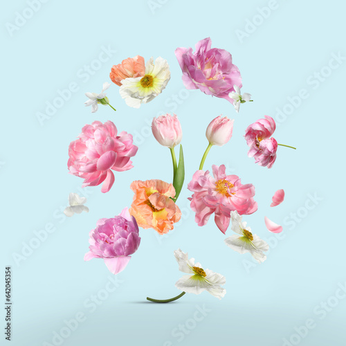 Different beautiful white flowers falling on light blue background