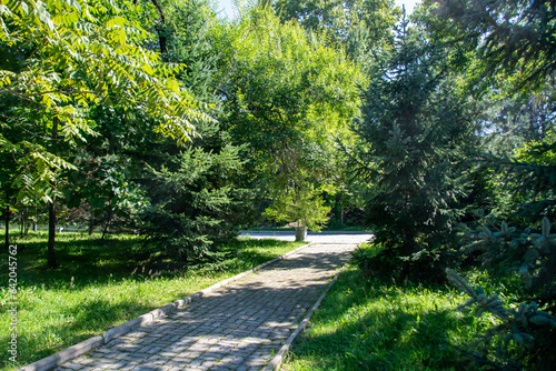 Fototapeta Naklejka Na Ścianę i Meble -  stone path in the park among tree s and bushes