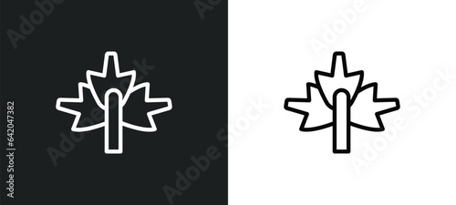 maple icon isolated in white and black colors. maple outline vector icon from nature collection for web, mobile apps and ui. photo