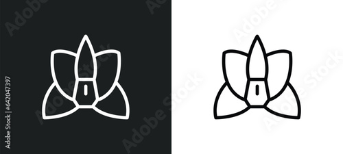 orchid icon isolated in white and black colors. orchid outline vector icon from nature collection for web, mobile apps and ui.