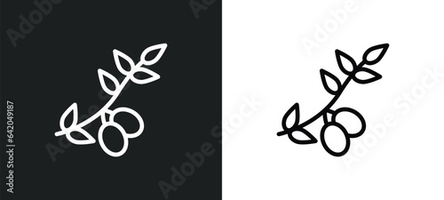 olive branch icon isolated in white and black colors. olive branch outline vector icon from religion collection for web, mobile apps and ui.