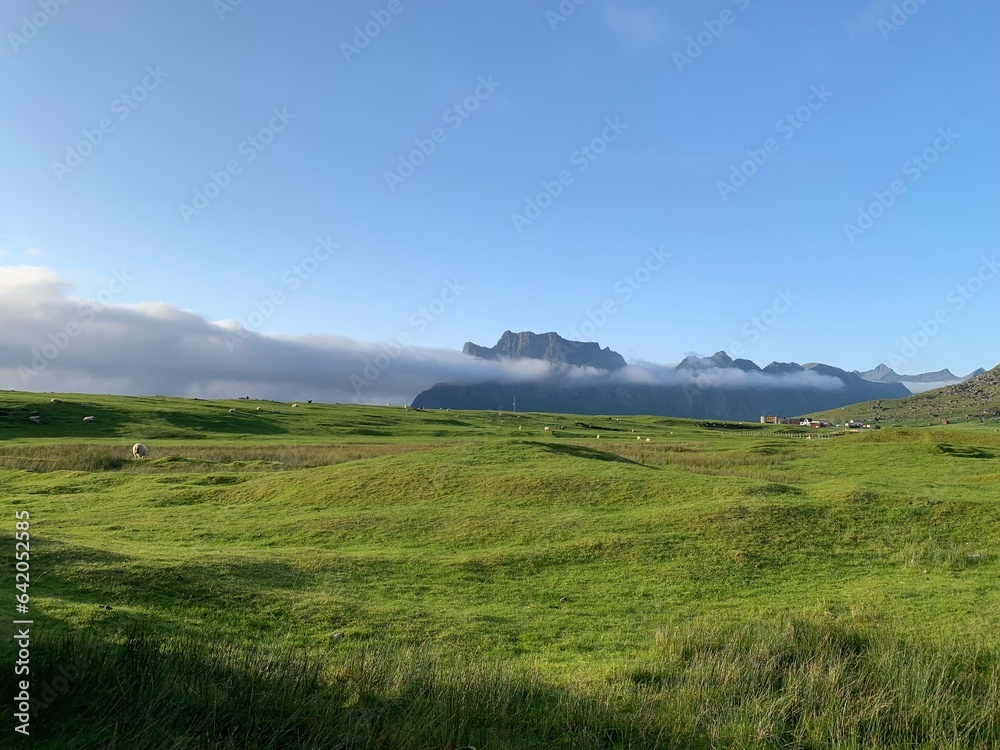 landscape with grass and sky landscape with grass and sky