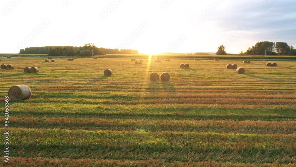 Idyllic picturesque summer landscape countryside at sunset on summer evening. Flying at sun over agricultural field after harvesting with hay rolls to rural road and cornfield. Sun rays shine