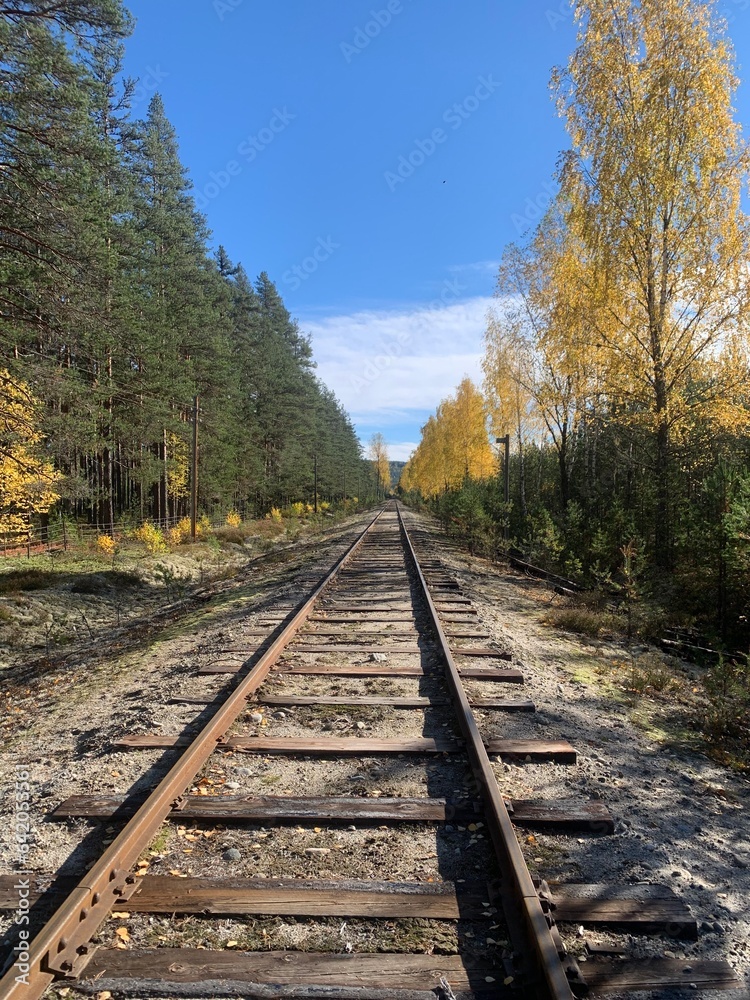 Fototapeta premium railway in autumn