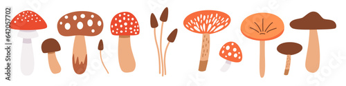 A collection of flat vector illustrations in naive style. Different mushrooms on white background . Vector illustration