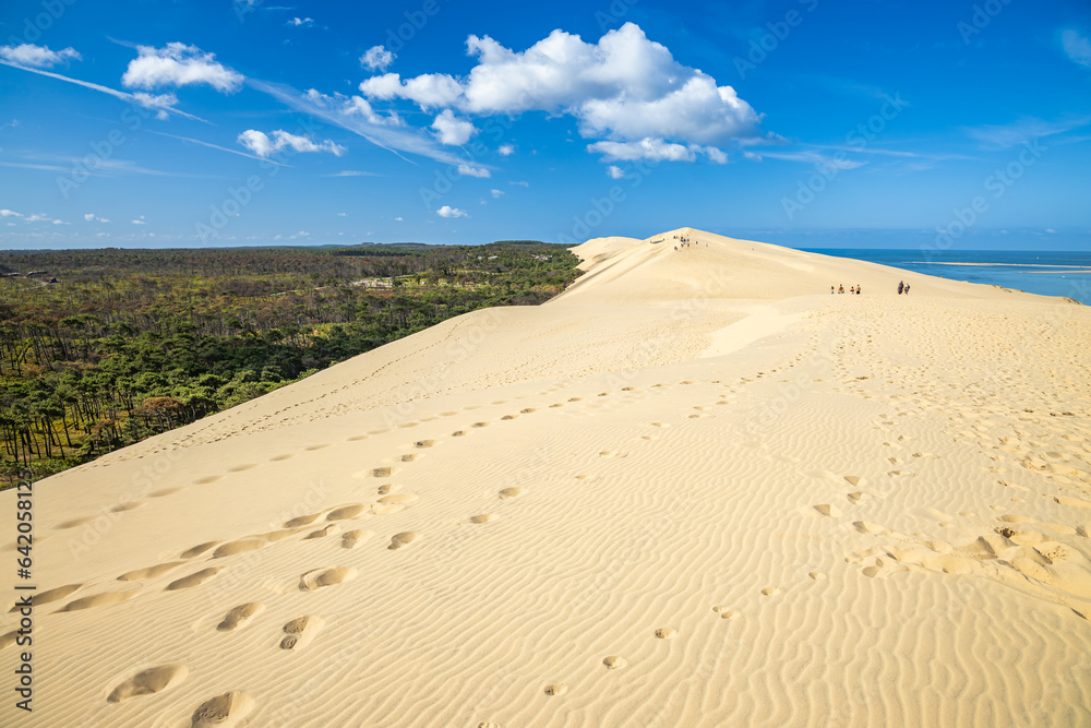 Panorama on the Dune du Pilat on a summer day in La Teste-de-Buch, France 