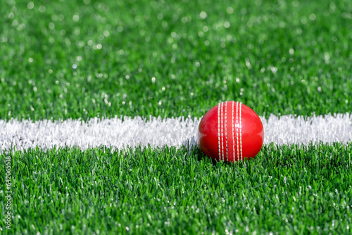 Cricket red ball with natural lighting on green grass. Horizontal sport theme poster, greeting cards, headers, website and app