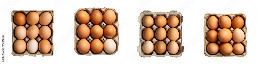 Eggs in a box natural agricultural concept transparent background Eggs in a box natural agricultural concept transparent background