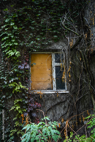 a window in the side of the house surrounded by fall leaves