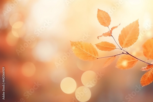 Colourful nature leaves in autumn with defocued background