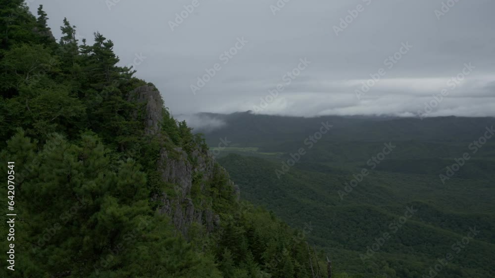 Overgrown rocks and fog. Timelapse. Overgrown rocks and fog. Timelapse.