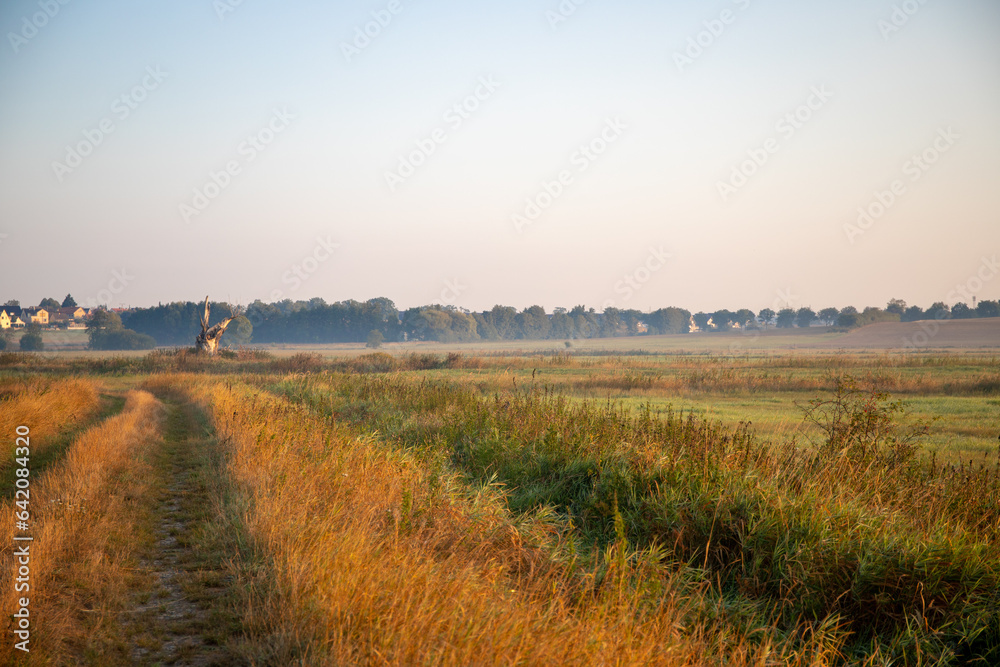 Panoramic view in the morning of an Agra field with light fog