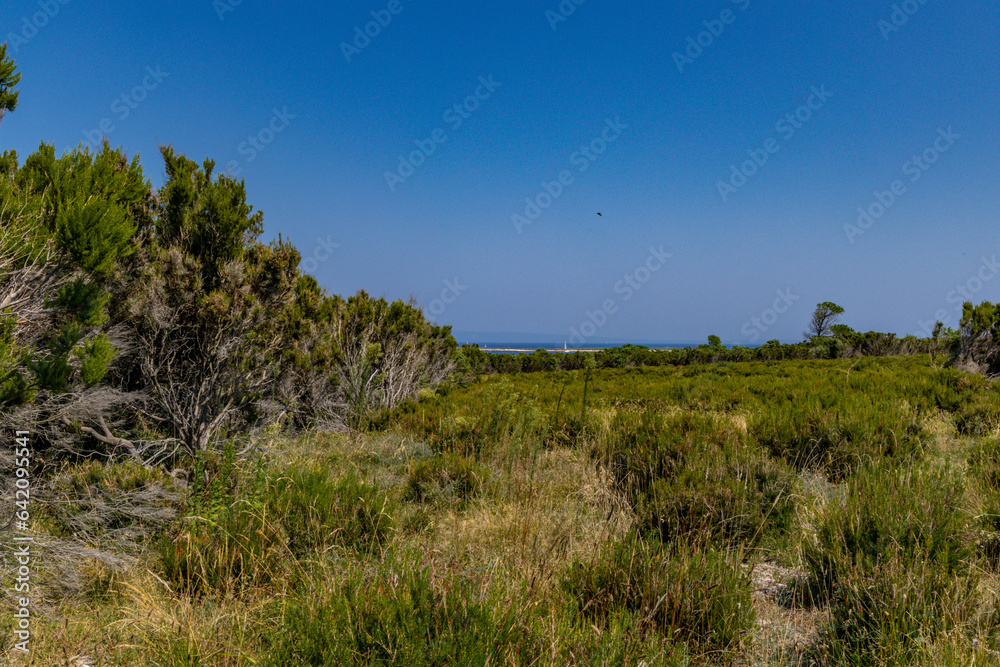 Sightseeing routes and landscape on the Kamenjak Peninsula Sightseeing routes and landscape on the Kamenjak Peninsula