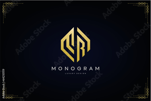 luxurious letter MR logo with gold line art hexagon shape vector design template