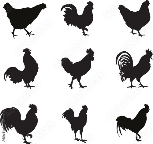 Chicken Silhouette Vector Pack