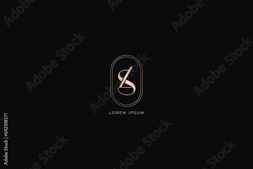 Ls letter modern style fashion brand luxury style design modern style creative golden wordmark design typography illustration, Ls wordmark, sl logo
