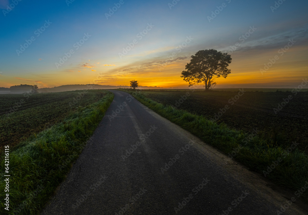 Fototapeta premium Al amanecer 