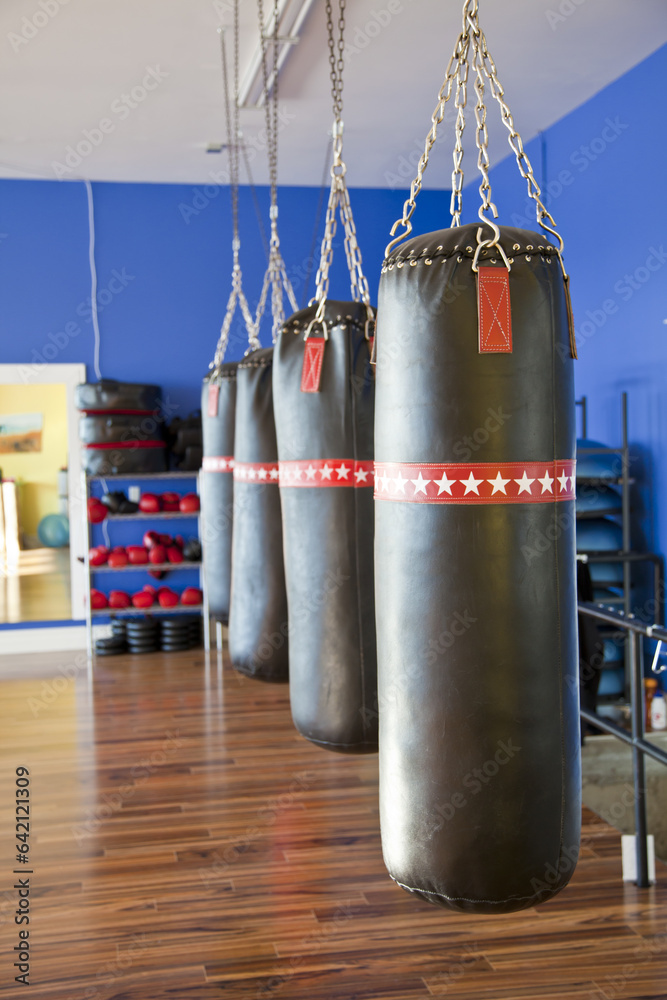 row of punching bags