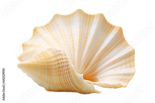 Seashell on Transparent Background, PNG , Generative Ai