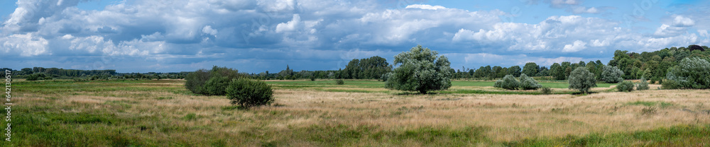 Extra large panoramic view over the dry heather with colorful vegetation of the Borchbeemden nature reserve, Diest, Belgium