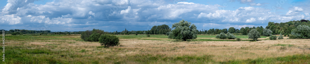 Extra large panoramic view over the dry heather with colorful vegetation of the Borchbeemden nature reserve, Diest, Belgium Extra large panoramic view over the dry heather with colorful vegetation of the Borchbeemden nature reserve, Diest, Belgium