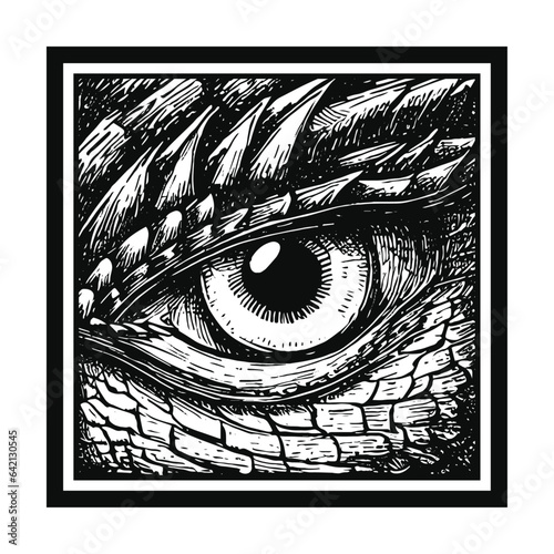 dragon eye close-up in a square shape illustration