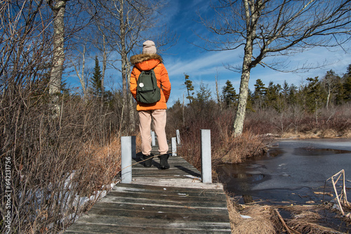 hawley bog nature preserve Massachusetts