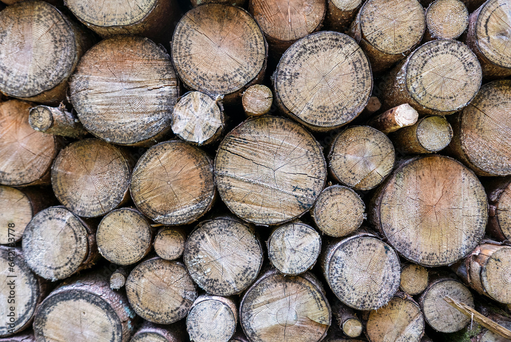 view of pile of wooden logs in the mountains view of pile of wooden logs in the mountains