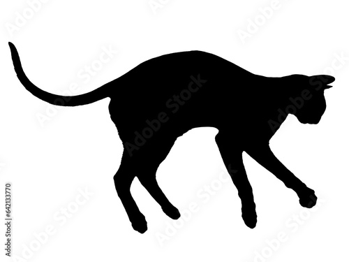 Black oriental cat silhouette with long black tail lying in PNG isolated on transparent background