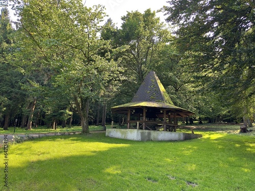 A wooden brown gazebo in the shape of a hat with a roof overgrown with green moss on a hill in the middle of trees and a green meadow in a park in Bavaria. A small house in the middle of a meadow 