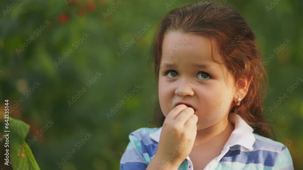 little girl eating raspberries in her garden little girl eating raspberries in her garden