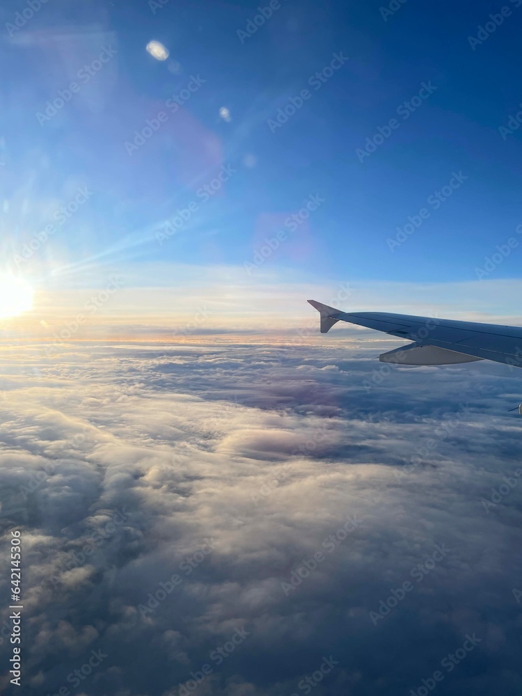 Cielo Cielo
