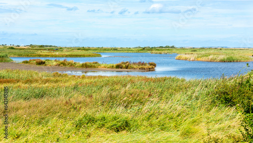 Φωτογραφία Oare Marshes Nature reserve near Faversham in Kent.
