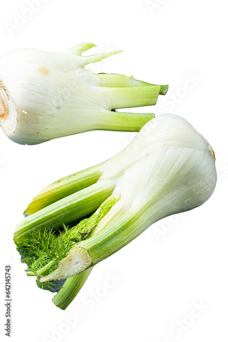Fresh florence fennel bulbs, on  grey background Isolated, transparent background
