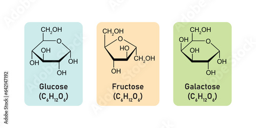 Monosaccharides Types Concept Design. Vector Illustration. photo