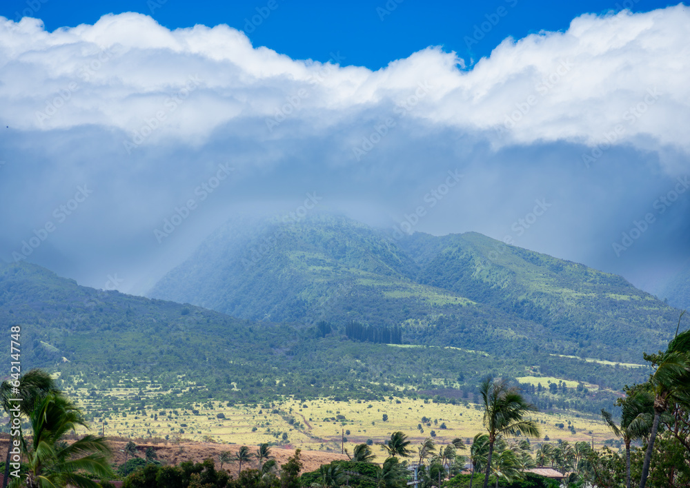 The West Maui Mountains sit still as clouds roll in from the coast and palm tress bend in high winds The West Maui Mountains sit still as clouds roll in from the coast and palm tress bend in high winds