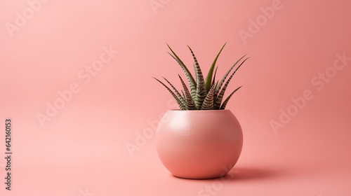 Indoor houseplant succulent in pink ceramic pot on brown background. Generative ai