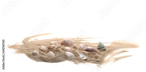 Fototapeta Naklejka Na Ścianę i Meble -  Sea shells in sand pile isolated on white background, side view