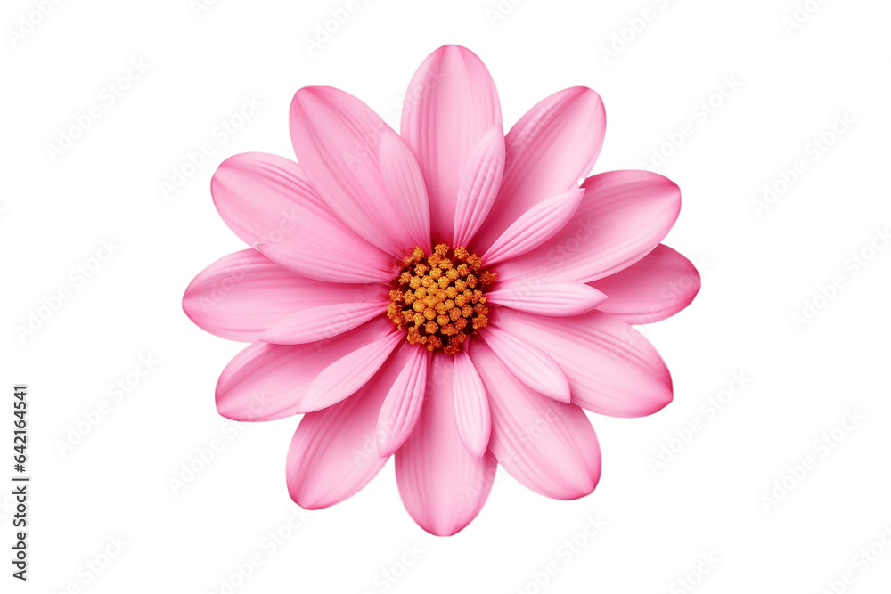 Pink Flower isolated on a transparent background. Generative Ai