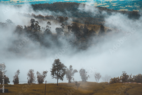 Foggy Morning at Phu Thap Buek, Phetchabun Province, Thailand photo