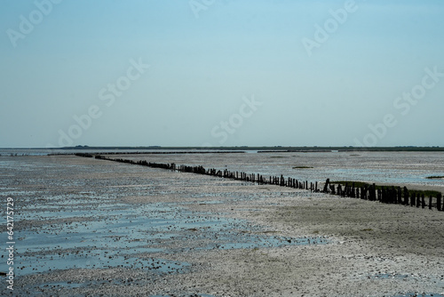 Buhnen an der Nordsee-K  ste von D  nemark bei Ebbe