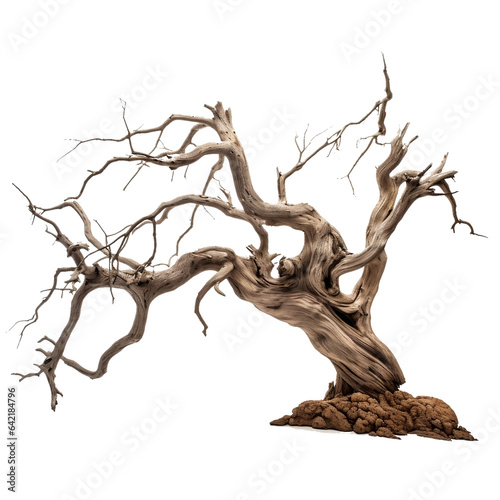 dead tree for halloween decoration on white background