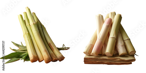 Fresh bamboo sprouts transparent background © 2rogan