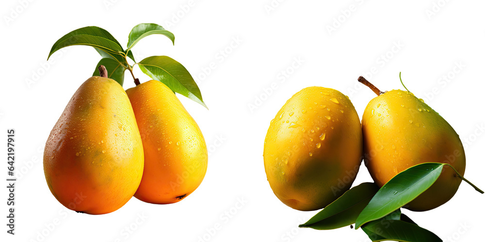 Mangos isolated on a transparent background