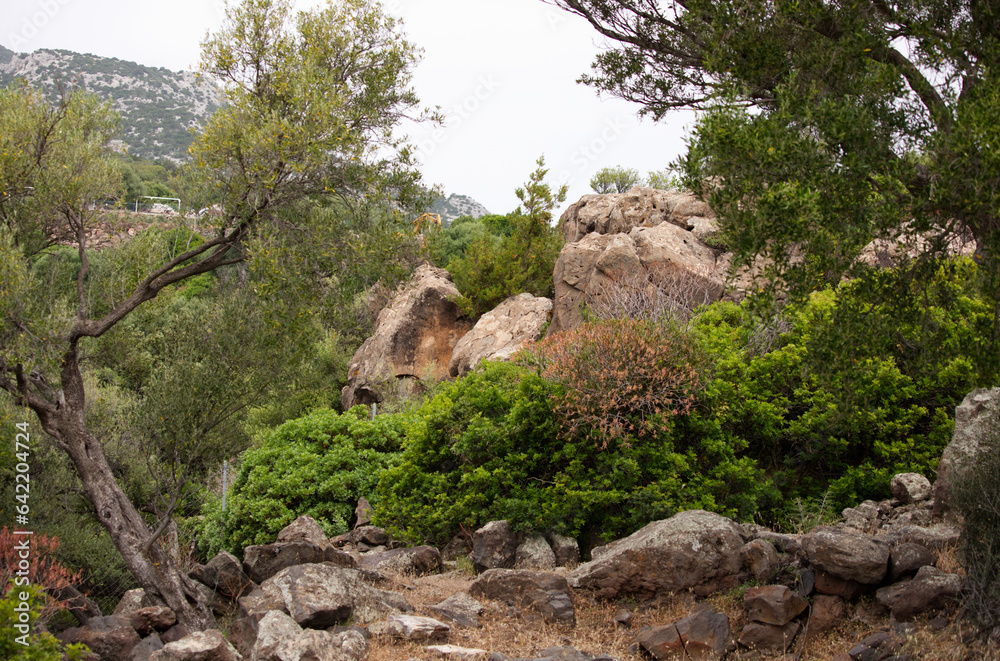 Typical Mediterranean landscape rock and bushes in summer Typical Mediterranean landscape rock and bushes in summer