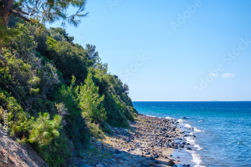 Beach with trees on the Mediterranean Sea