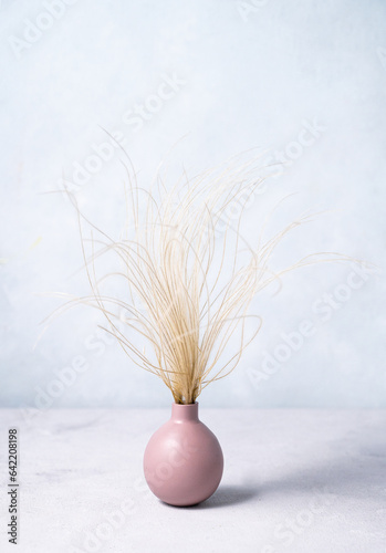 Stylish modern bouquet of dried flowers of pampas grass in a pink vase in Scandinavian style with shadow. Art deco, boho gift for anniversary, birthday, mother's day.