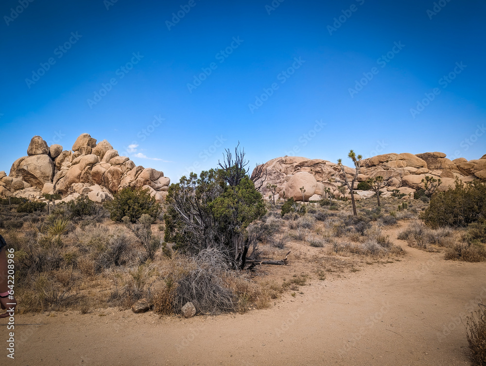 Joshua Tree National Park Desert Rock Formations